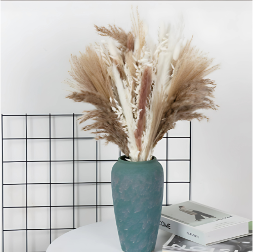 PamPasGras | Trockenblumen