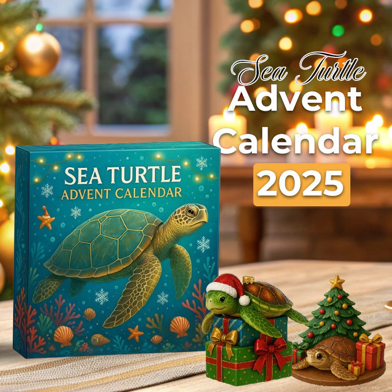 Meeresschildkröten Adventskalender 2025
