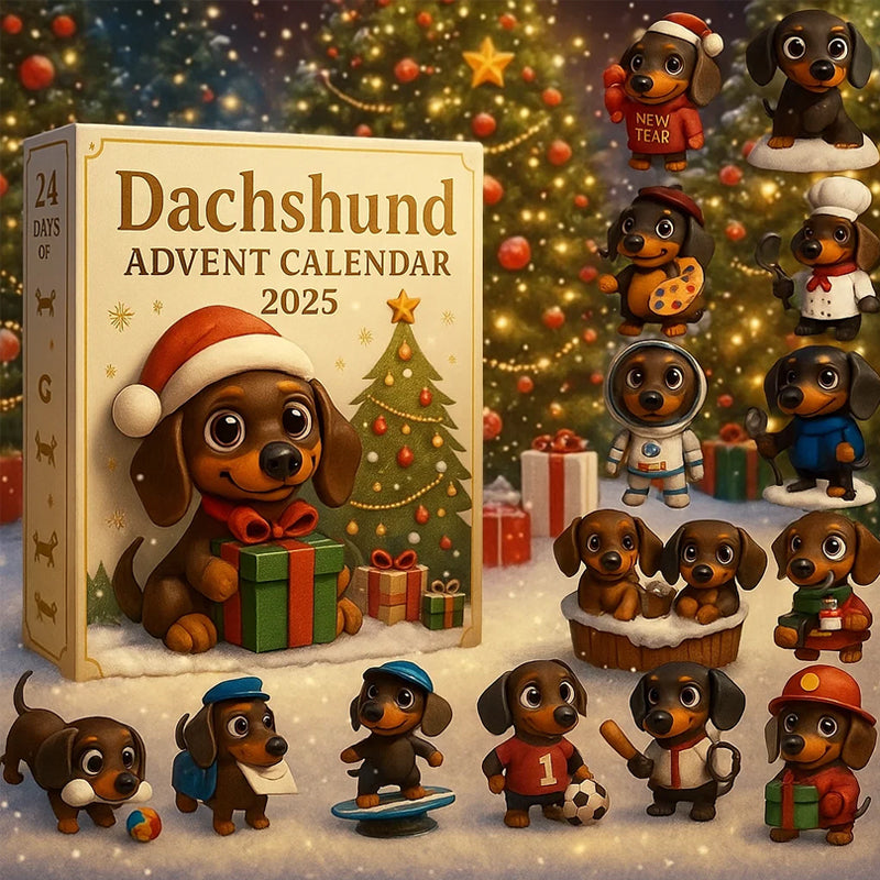 Dackel Adventskalender 2025