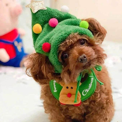 Weihnachtsmütze für Hunde